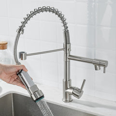 Brushed Nickel Dual-Function Kitchen Faucet