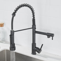 Brushed Nickel Dual-Function Kitchen Faucet