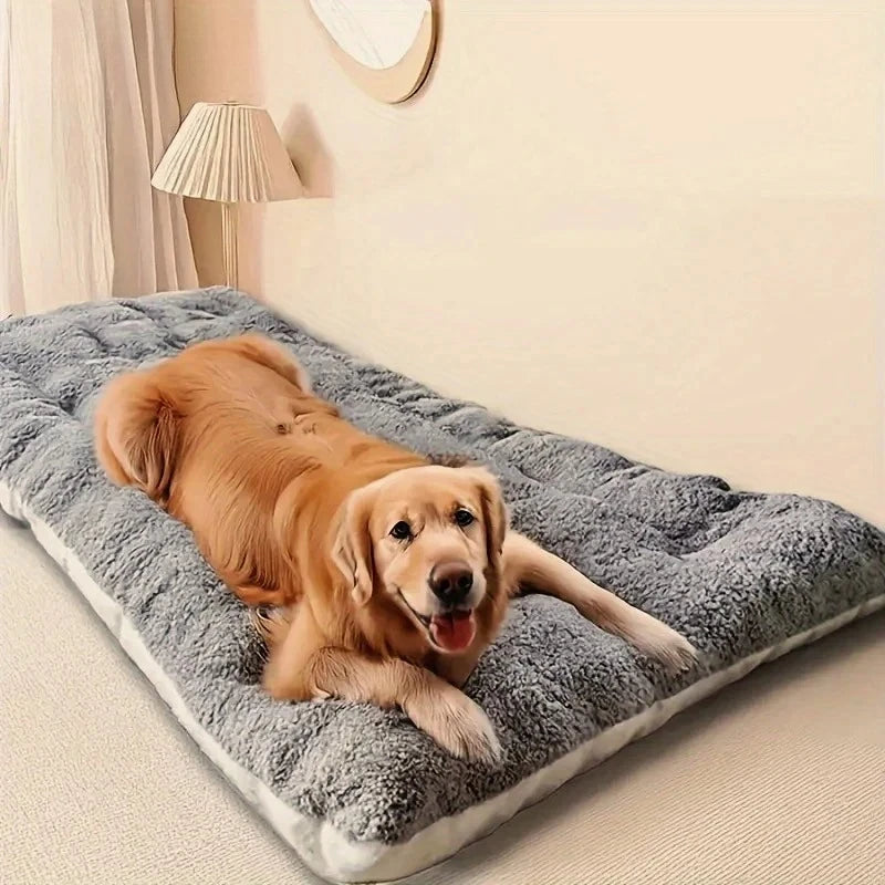 Plush Comfort Dog Sofa Bed