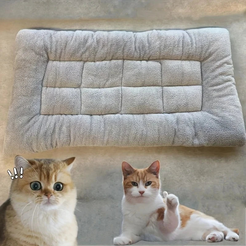 Plush Comfort Dog Sofa Bed